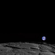 Illustration for article titled The Moon Might Be Littered With Fossils From Ancient Earth